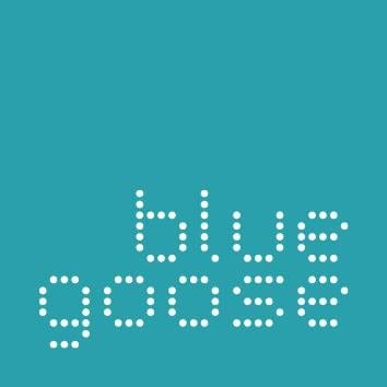 bluegoose.jpeg