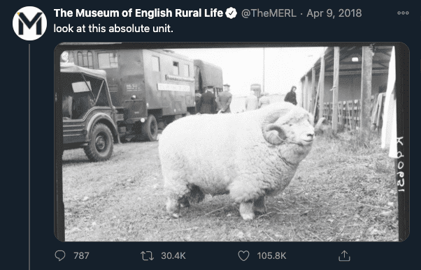 Unit.png